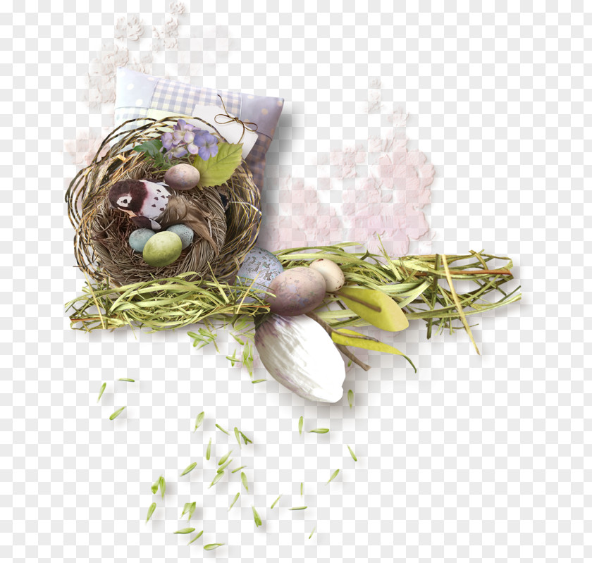 утята Easter Bunny Egg Bird Nest PNG