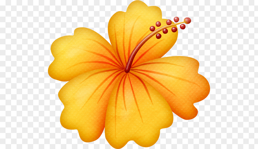 Flower Cuisine Of Hawaii Clip Art PNG