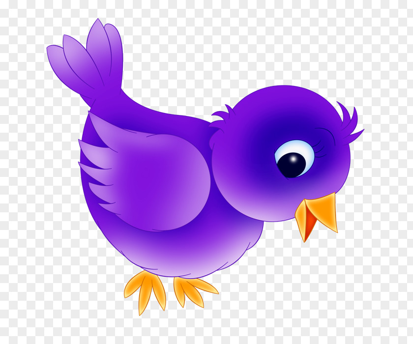 Purple Violet Bird Cartoon Wing PNG