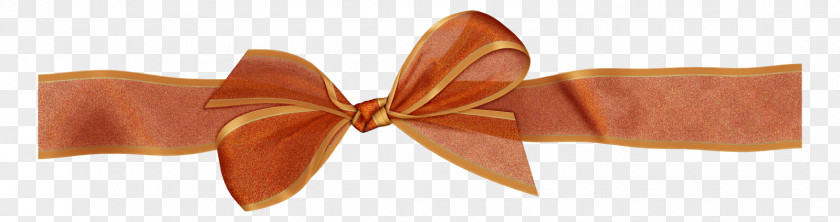 Ribbon Lazo Clip Art PNG