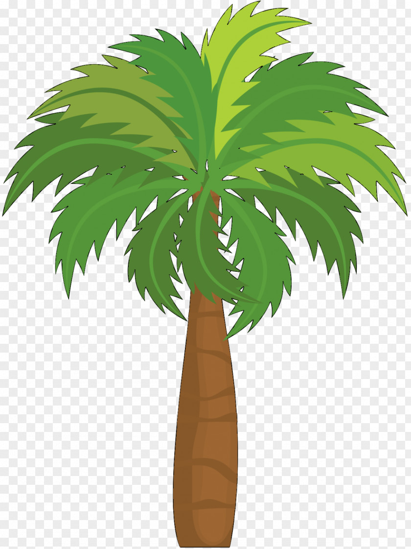 Asian Palmyra Palm Coconut Leaf Plant Stem Plants PNG