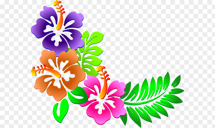 Hawaii Flower Clip Art PNG
