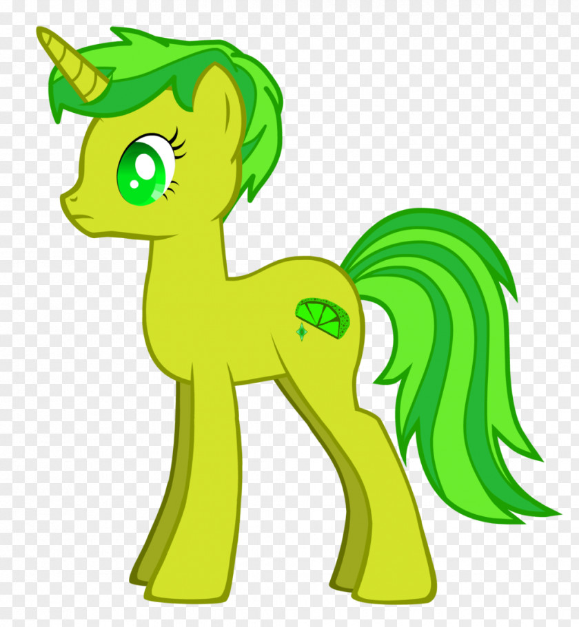 Lime My Little Pony Rainbow Dash Derpy Hooves Twilight Sparkle PNG