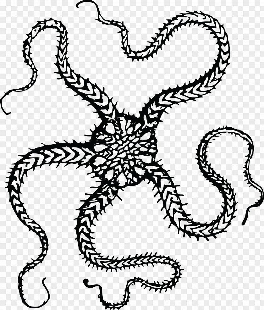 Starfish T-shirt Brittle Star Clip Art PNG