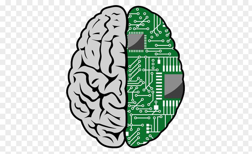Brain Brain–computer Interface Human Clip Art PNG