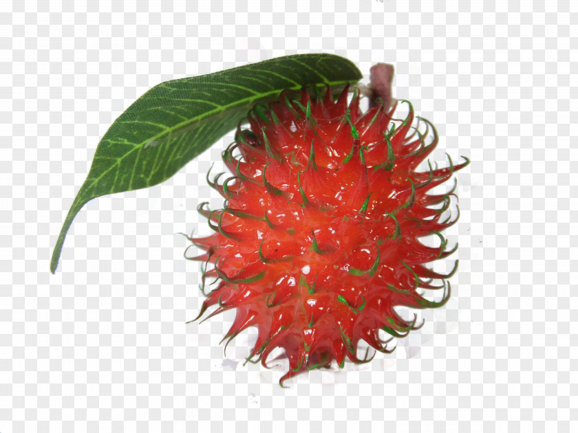 Magnet Rambutan Thai Cuisine Strawberry PNG