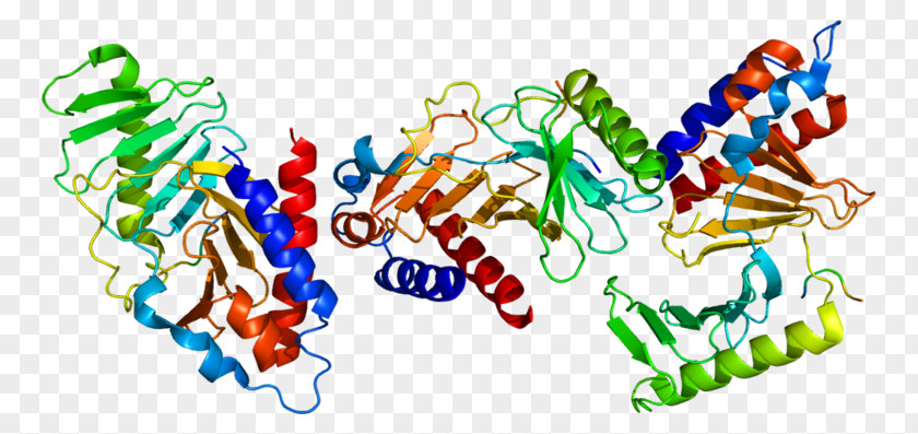 PLK1 Polo-like Kinase Protein Amino Acid Structure PNG