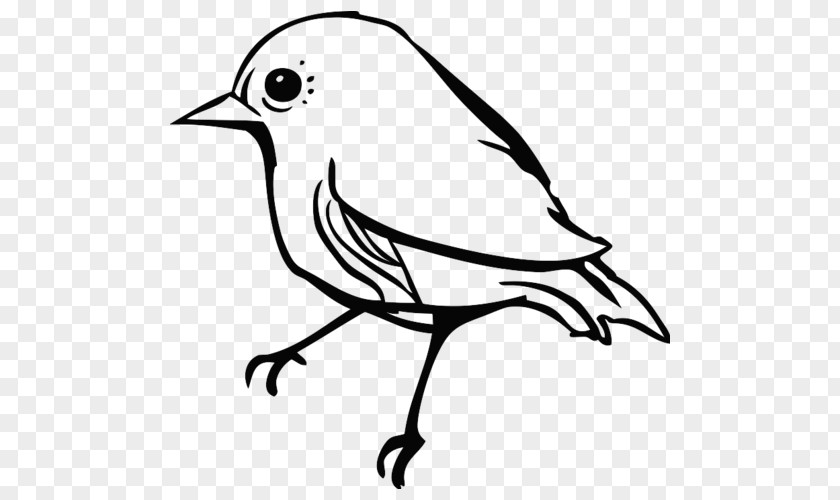 Bird Finches Parrot Beak Clip Art PNG