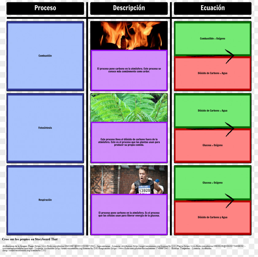 Coal Carbon Cycle Process Dioxide Photosynthesis PNG