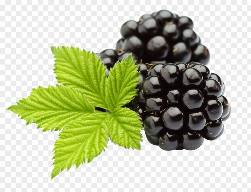 Creative Grape Fruit Juice Blackberry Extract Flavor PNG
