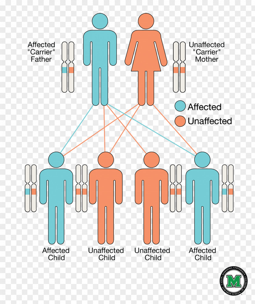 Domineering Severe Combined Immunodeficiency Adenosine Deaminase Deficiency Strimvelis Genetic Disorder Gene Therapy PNG