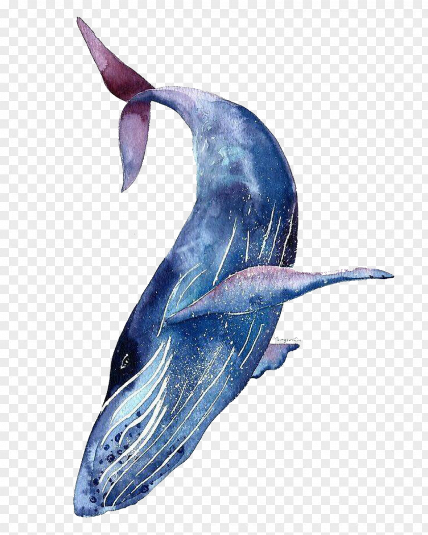 Painting Watercolor: Animals Watercolor Blue Whale Whales PNG