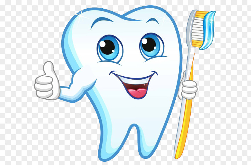 Toothbrush Human Tooth Dentist Clip Art PNG