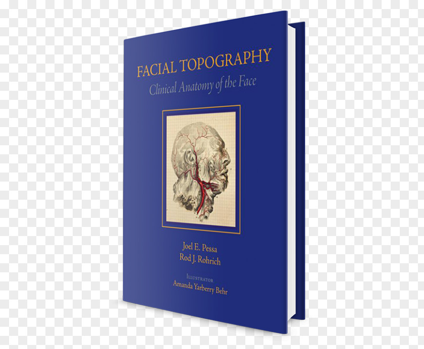 Face Anatomy Facial Topography: Clinical Of The Reformed Dogmatics Human Body Life PNG