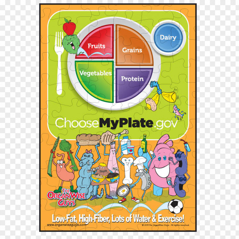 Health ChooseMyPlate Food Pyramid Group PNG