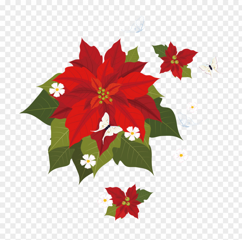 Poinsettia Painted Vector Material Euclidean Illustration PNG