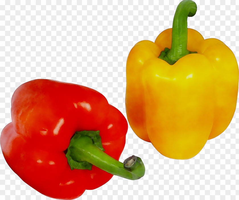 Habanero Yellow Pepper Chili Cayenne Bell PNG