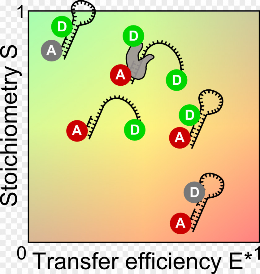 Histogram Förster Resonance Energy Transfer Single-molecule FRET Excited State Wavelength Spectroscopy PNG