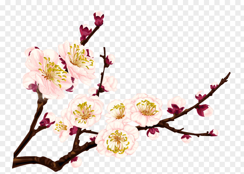 Pink Plum Blossom Creative Flower PNG