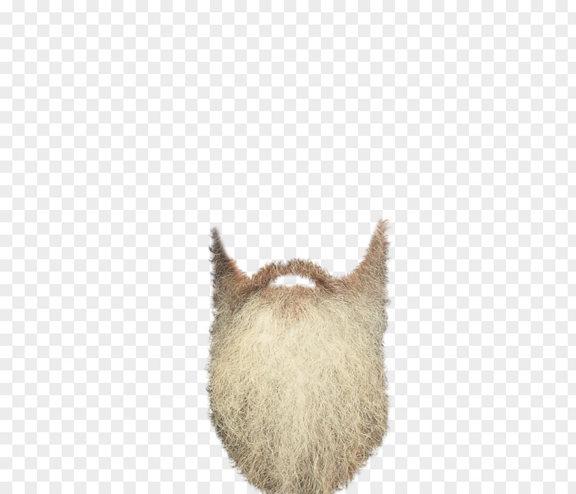 Real Beard Clip Art PNG