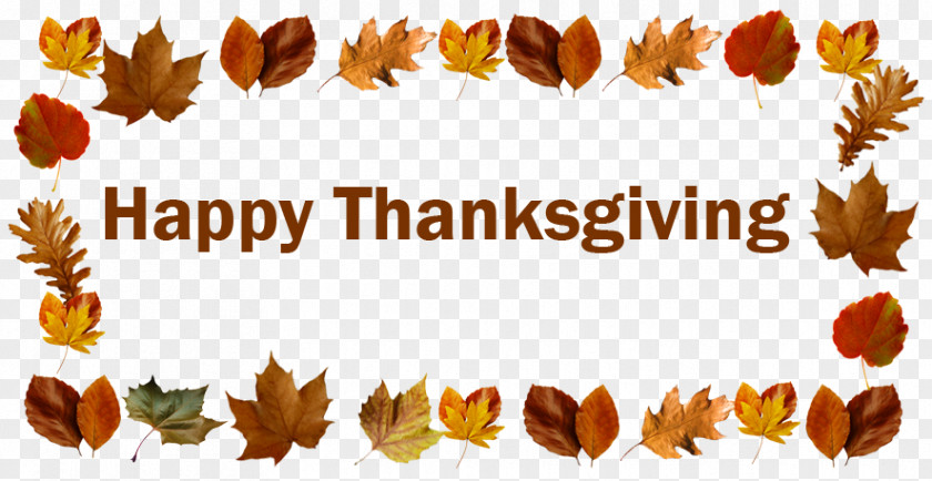 Thanksgiving Greetings Chicago Bears Happiness Clip Art Wish PNG