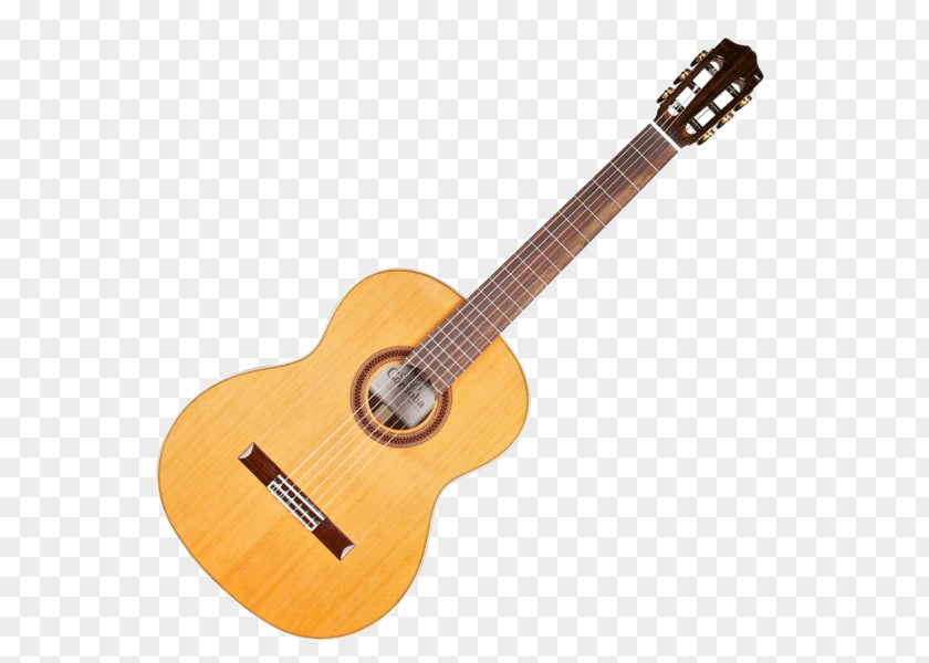 Acoustic Gig Classical Guitar Acoustic-electric PNG