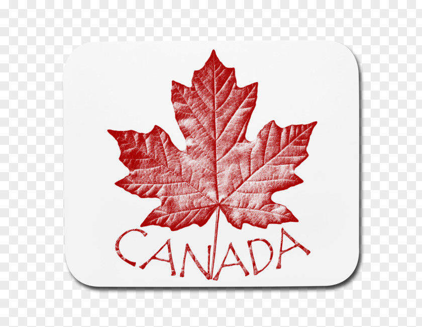 Canada T-shirt Maple Leaf Souvenir PNG