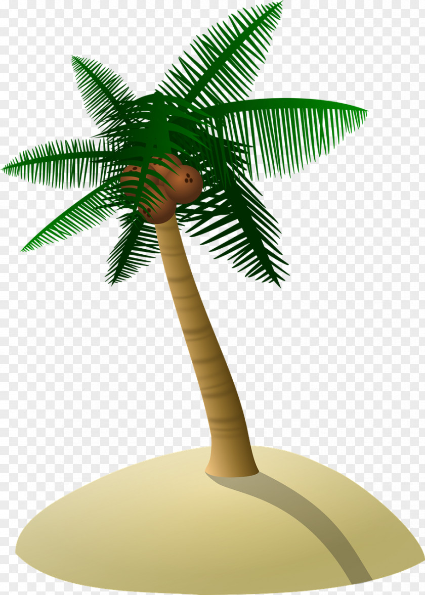 Coconut Tree Arecaceae Clip Art PNG