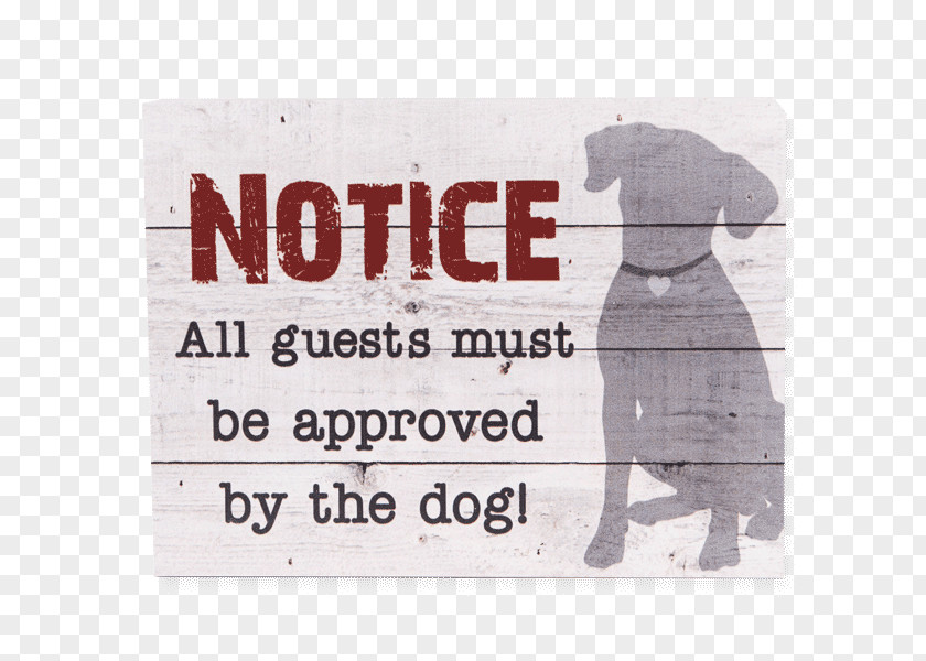 Dog Pet Sitting Greeting & Note Cards Birthday PNG