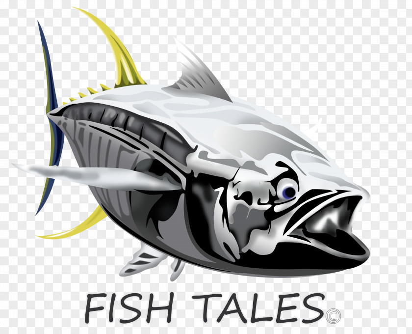 Fishing FISH TALES CHARTERS (Cape Town) Recreational Yellowfin Tuna PNG