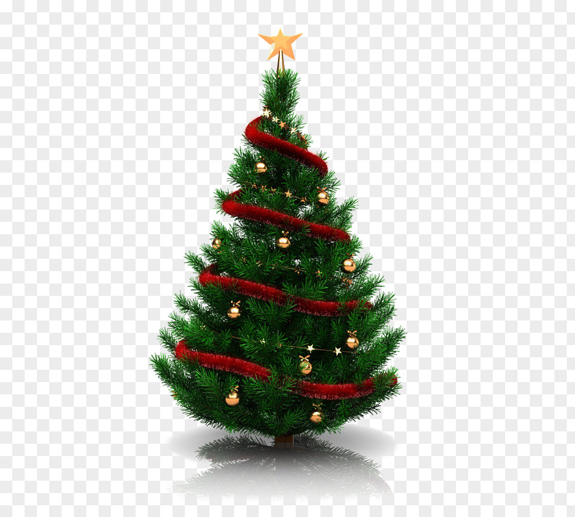 Green Christmas Tree Decoration Eve Ornament PNG