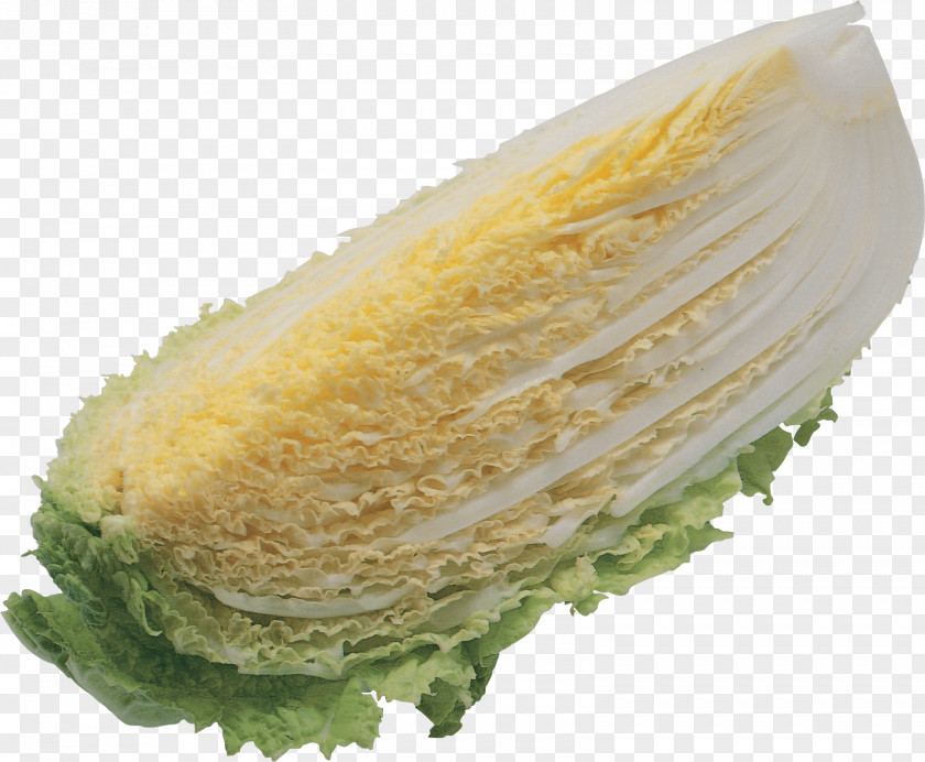 Salad Image Lettuce Food Clip Art PNG