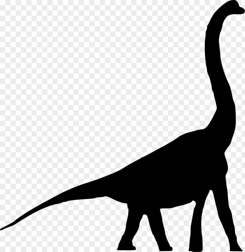 Tyrannosaurus Brachiosaurus Daanosaurus Bellusaurus Giraffatitan PNG