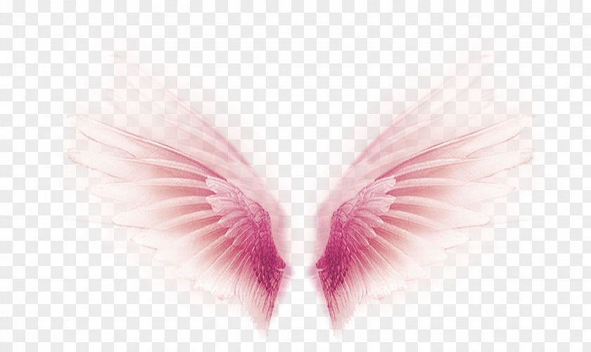 Pink Fantasy Wings Decorative Pattern Wing PNG