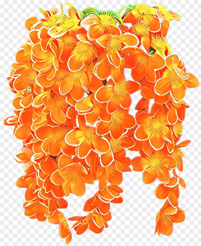 Plant Orange Flowers Background PNG