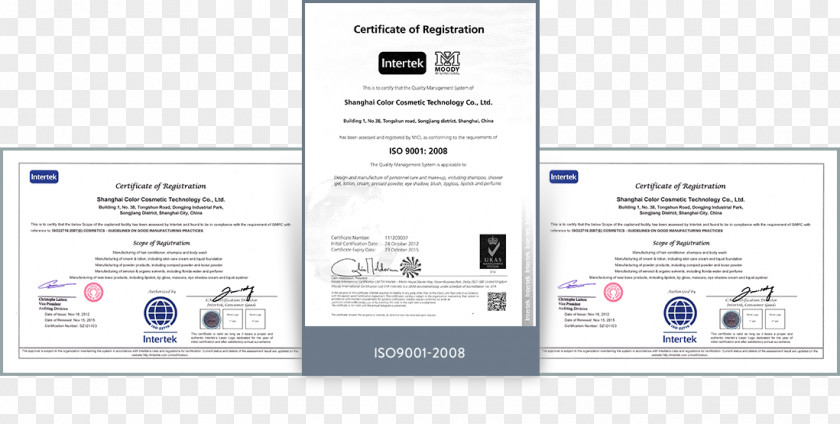 Qualification Certificate Web Page Product Design Multimedia Brand PNG