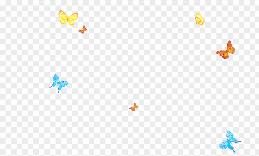 Butterfly Computer File PNG