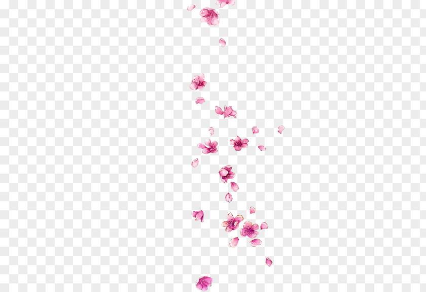 Falling Plum Petal Download Flower PNG