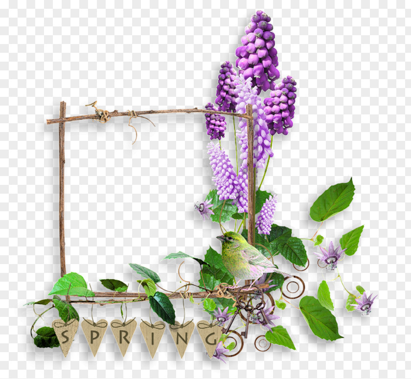 Flowering Plant Lumber PNG