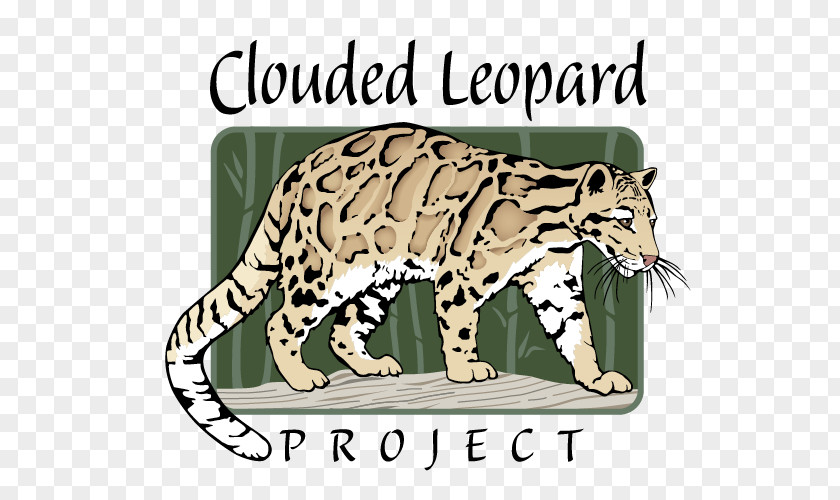 Leopard Whiskers Tiger Ocelot Wildcat PNG