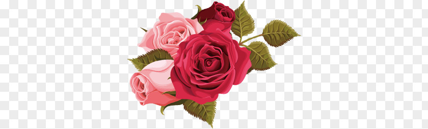 Pink Roses And Red PNG roses and red clipart PNG