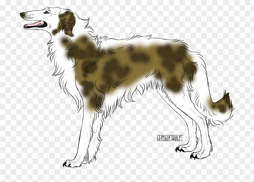Russia Castle Silken Windhound Borzoi Saluki Dog Breed Rare (dog) PNG