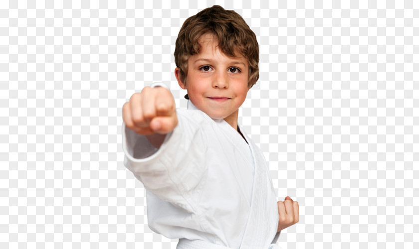The Karate Kid Martial Arts Dojo Child Budō PNG