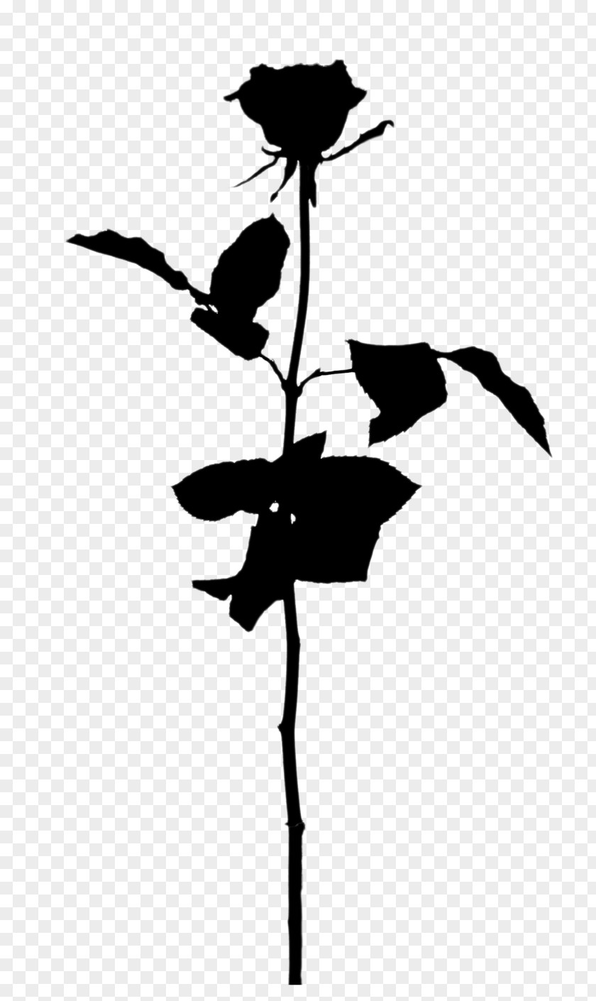 Twig Plant Stem Flower Leaf Silhouette PNG