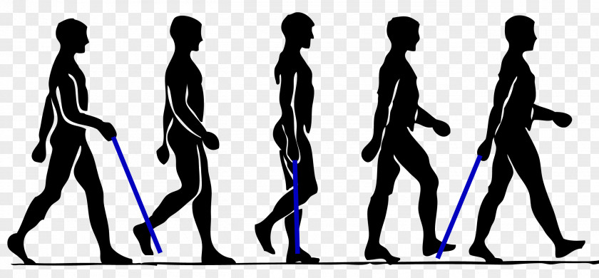 Walking Man Silhouette Collection Person Clip Art PNG