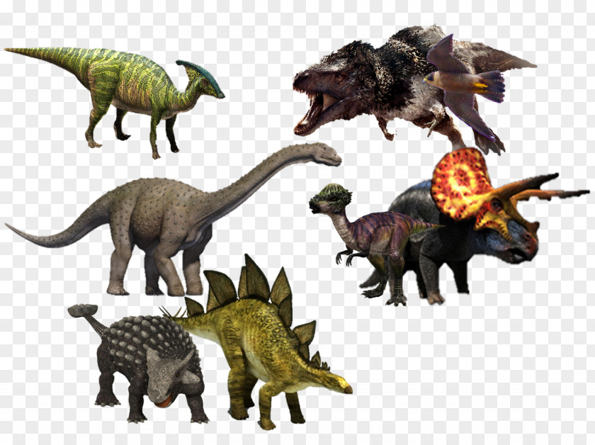 Dinosaur Tyrannosaurus Troodon Pachycephalosaurus Chirostenotes PNG