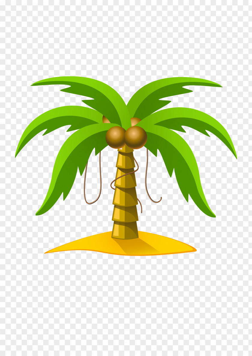 Hainan Coconut Download Computer File PNG