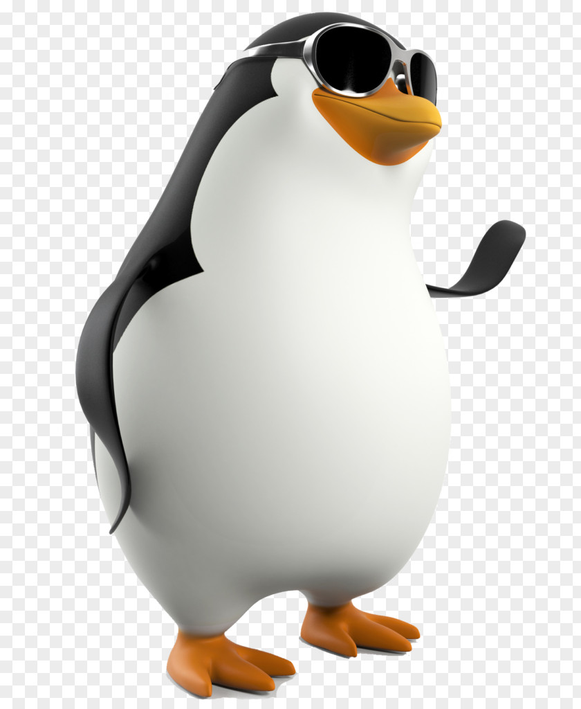 Penguin Clip Art Image PNG