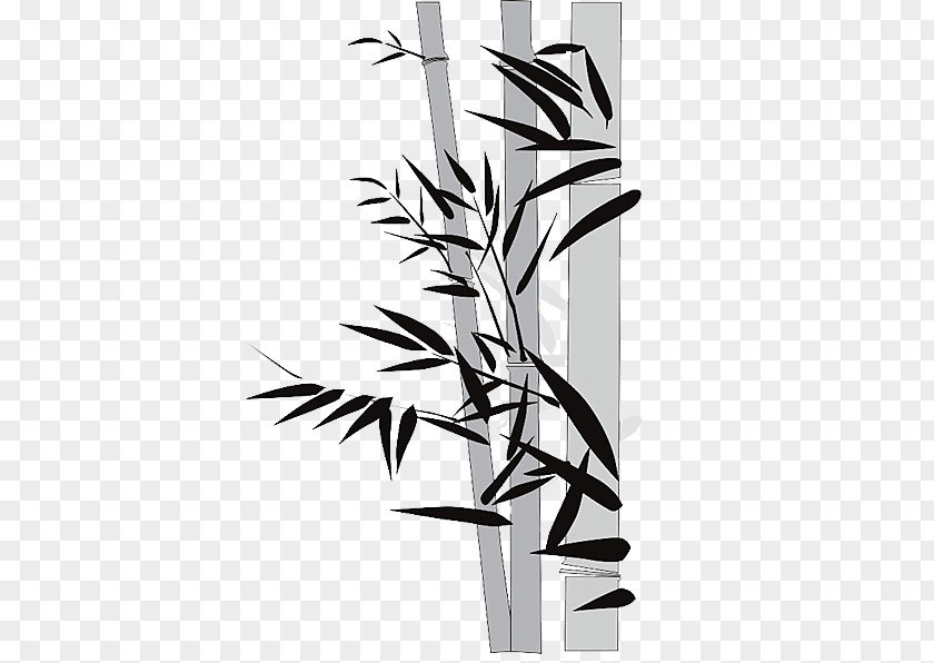 Bamboo Cartoon Picture Material Bamboe Euclidean Vector PNG
