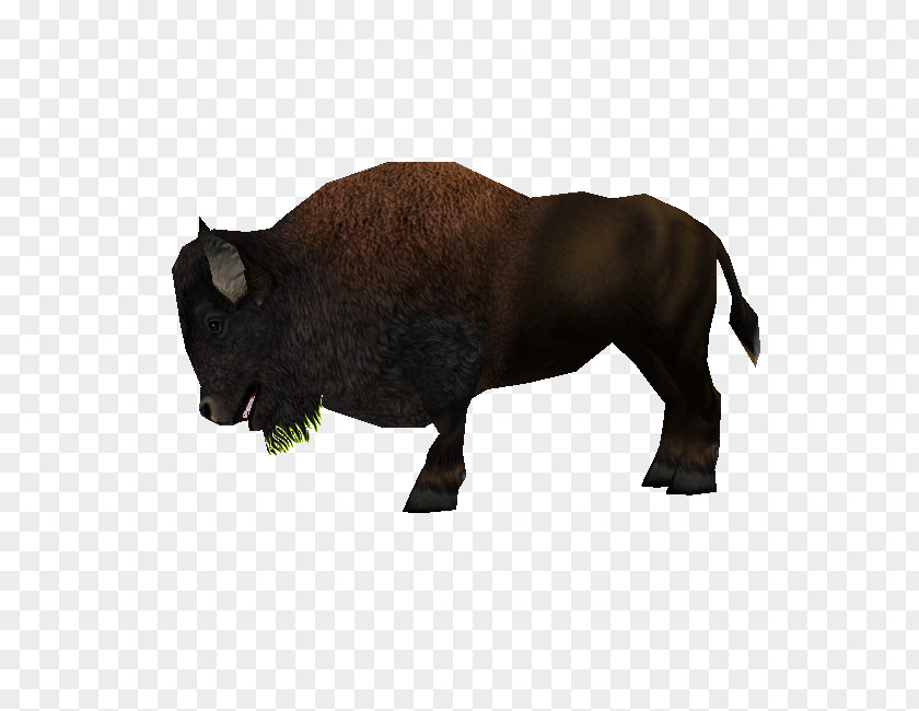 Bison Cattle Rhinoceros Bull Animal PNG